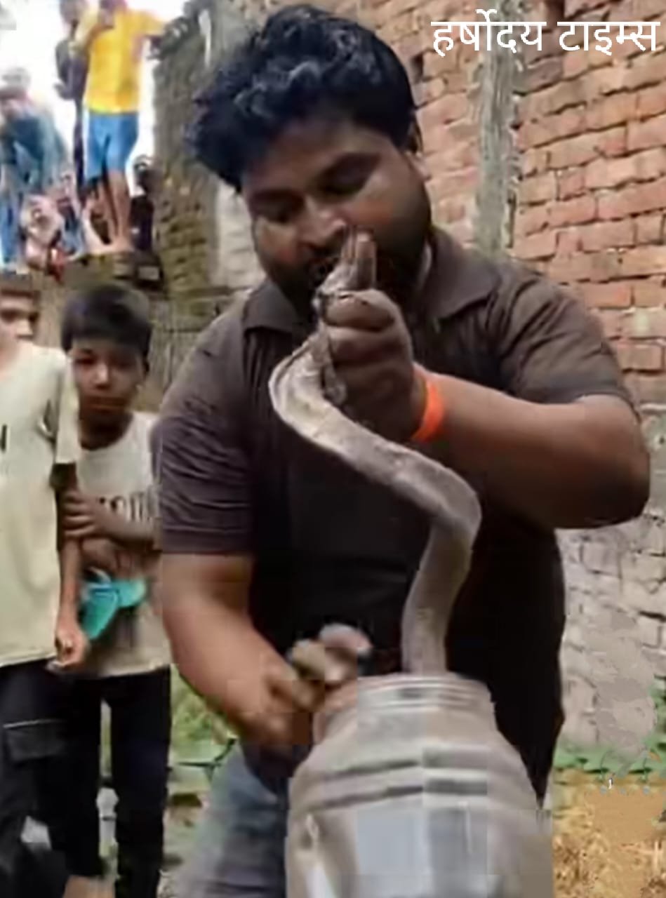 श्यामदेउरवा क्षेत्र के एक गाँव में निकले 21 जहरीले सांप, मचा हड़कंप