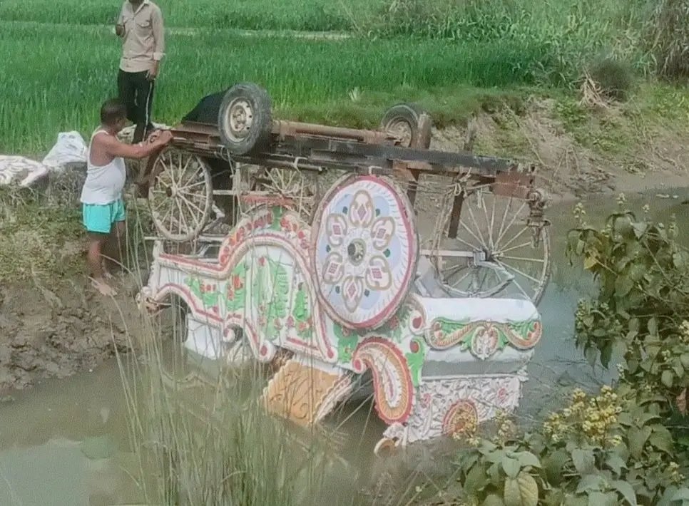 रस्सी टूटने से वैवाहिक बग्घी गड्ढे में पलटी, बड़ा हादसा टला, कई को आईं हल्की चोटें