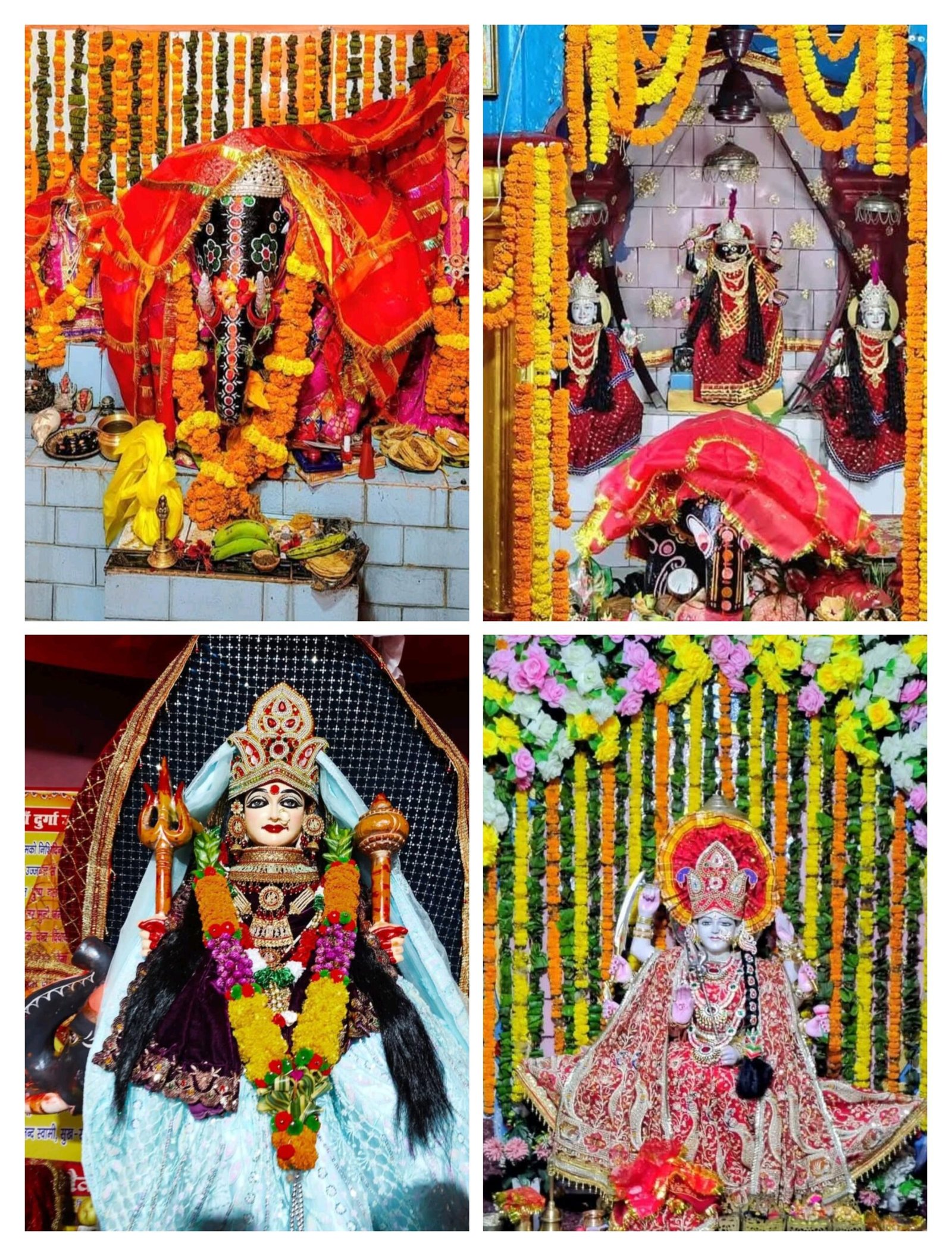 सिसवा के देवी मंदिरों में श्रद्धालुओं का सैलाब, वासंतिक नवरात्र के प्रथम दिन माता शैलपुत्री की विधिवत पूजा