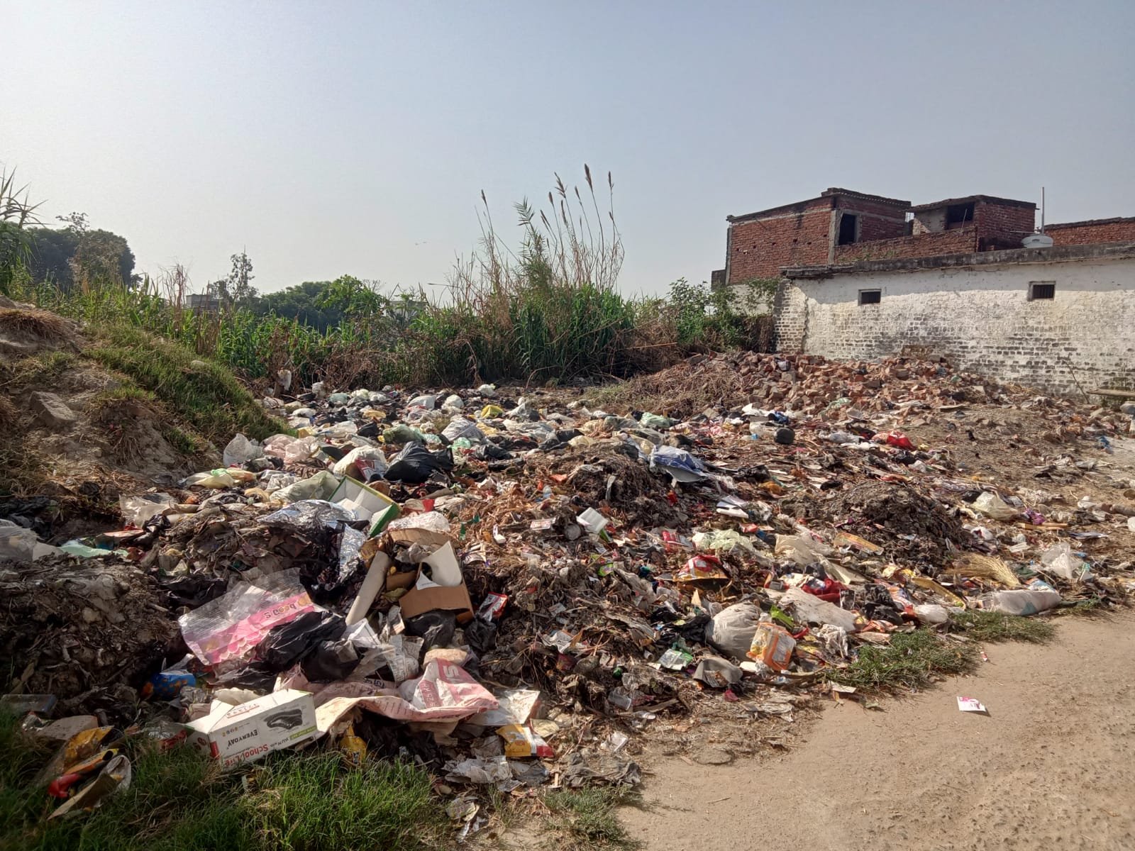 घनी आबादी में कूड़े का अंबार, बीमारी फैलने का खतरा बढ़ा