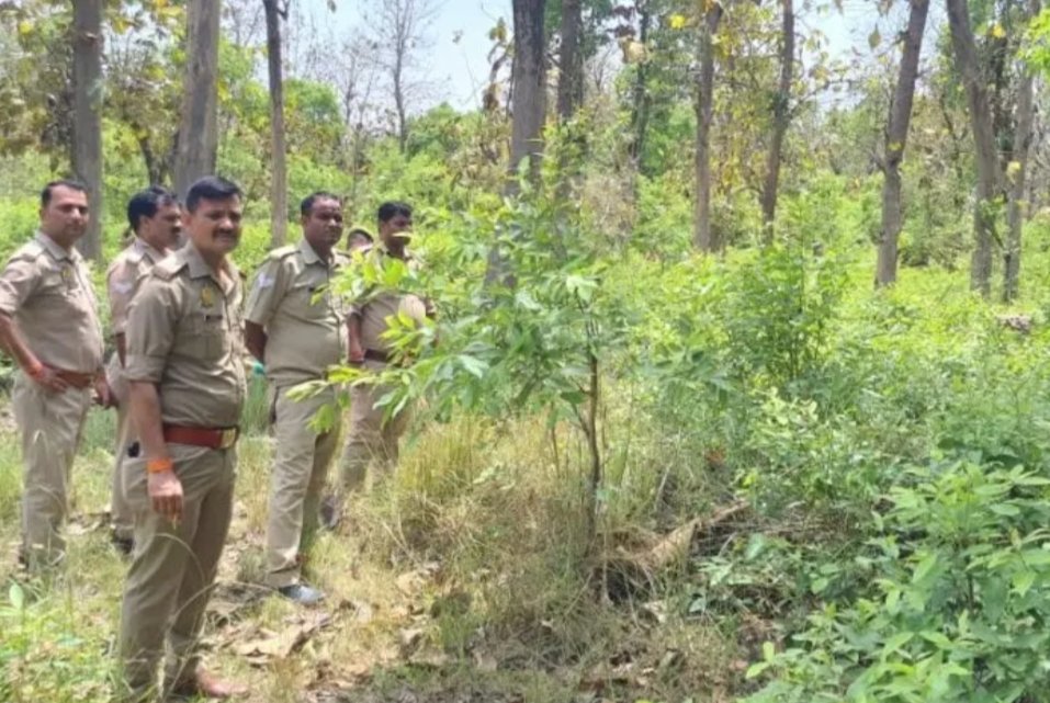 पनियरा के जंगल में पेड़ से लटकता मिला अज्ञात महिला का शव, इलाके में फैली दहशत