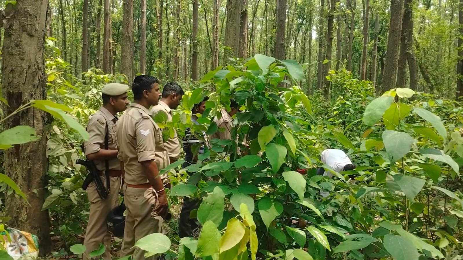 जंगल में पेड़ से लटका मिला महिला का शव, जांच में जुटी पुलिस