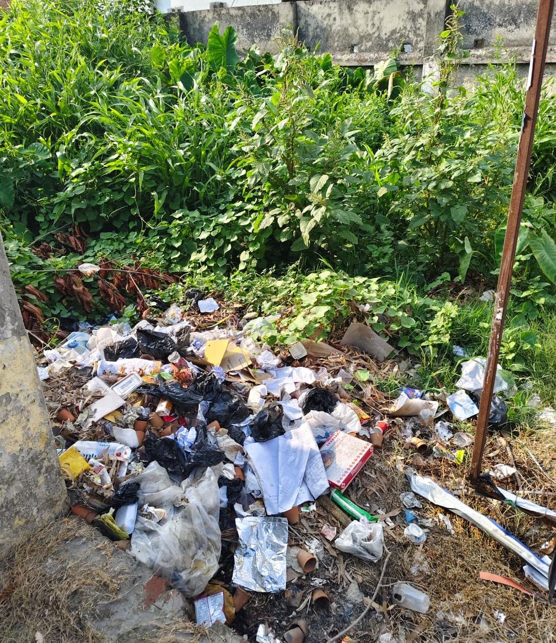 एडीओ पंचायत कार्यालय के सामने गंदगी का साम्राज्य, स्वच्छता अभियान पर उठे सवाल