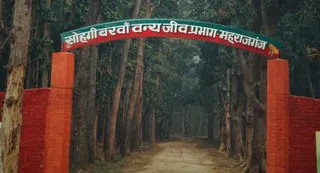 सोहगी बरवा की वन सुरक्षा व्यवस्था पर उठे सवाल, अवैध कटान बढ़ने का ग्रामीणों ने लगाया आरोप