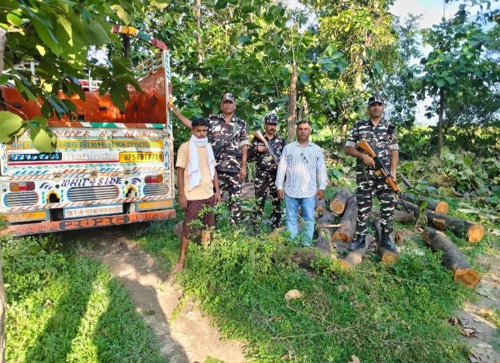 सागौन की अवैध कटान पर एसएसबी-वन विभाग का शिकंजा, 20 बोटा लकड़ी व पिकअप जब्त; एक तस्कर गिरफ्तार