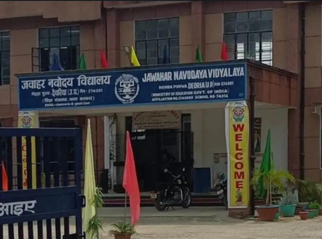 भोजन की थाली में मिला मरा मेंढक, नवोदय विद्यालय में मचा हड़कंप